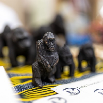 Debreceni Regionális Központ avató