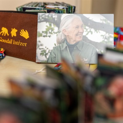 Debreceni Regionális Központ avató