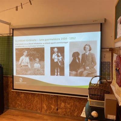 Ferencvárosi Sport Általános Iskola