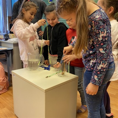 Ferencvárosi Sport Általános Iskola