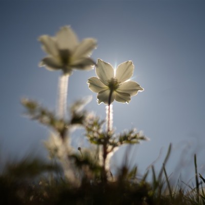 Környezetvédelem képekben