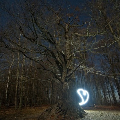 Környezetvédelem képekben