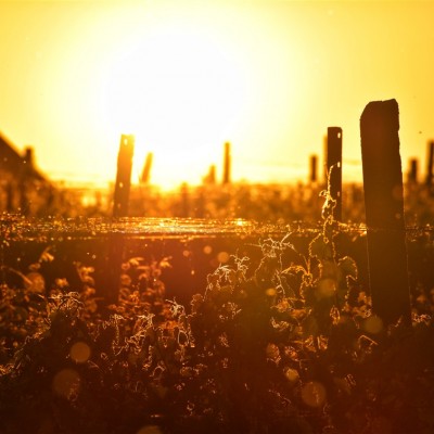 Környezetvédelem képekben