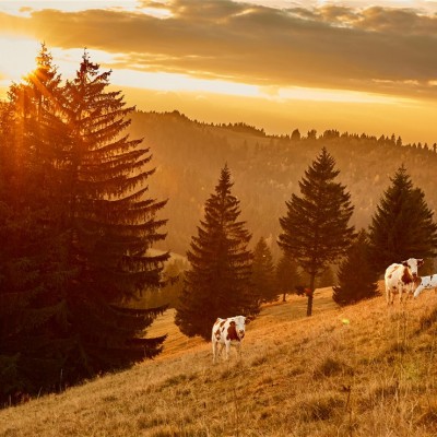 Környezetvédelem képekben