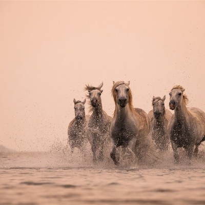 Környezetvédelem képekben