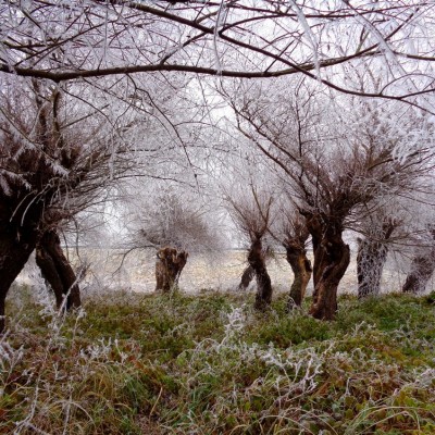 Környezetvédelem képekben