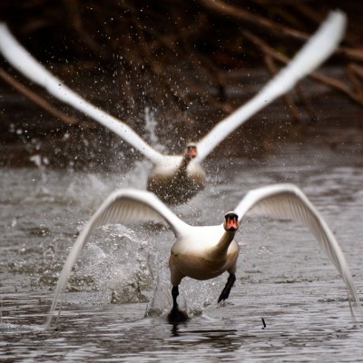 Környezetvédelem képekben
