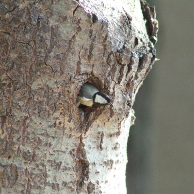 Környezetvédelem képekben