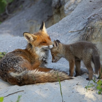 Környezetvédelem képekben