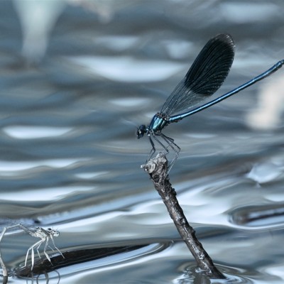 Környezetvédelem képekben