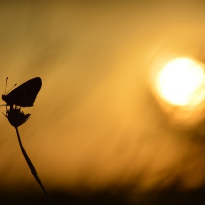 Környezetvédelem képekben