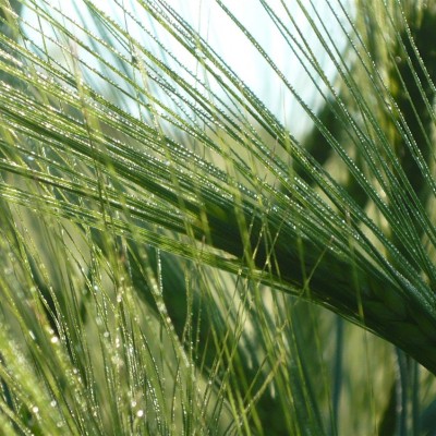 Környezetvédelem képekben