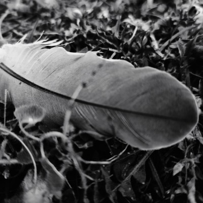 Környezetvédelem képekben