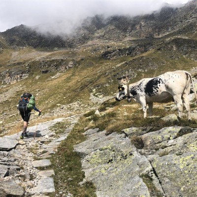 Környezetvédelem képekben