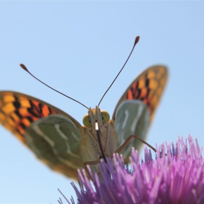 Környezetvédelem képekben