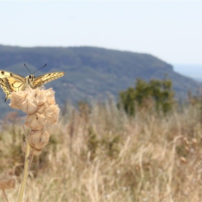 Környezetvédelem képekben