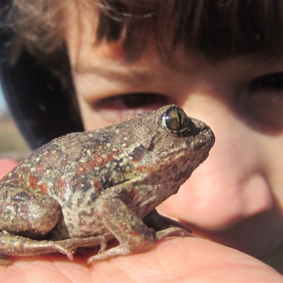 Környezetvédelem képekben