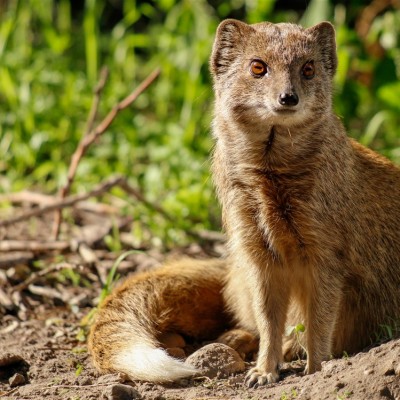 Környezetvédelem képekben