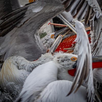 Környezetvédelem képekben