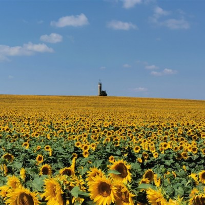 Környezetvédelem képekben