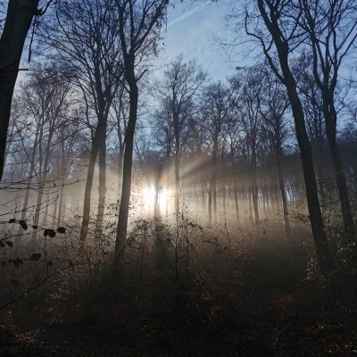 Környezetvédelem képekben