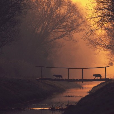 Környezetvédelem képekben