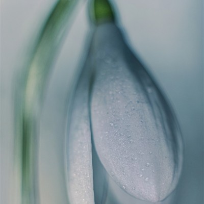 Környezetvédelem képekben