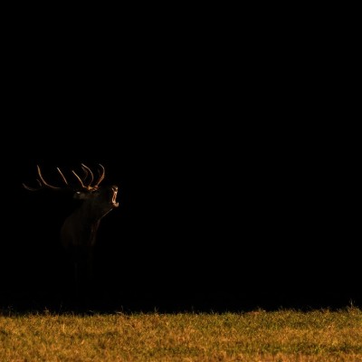 Környezetvédelem képekben