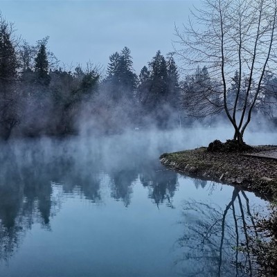 Környezetvédelem képekben