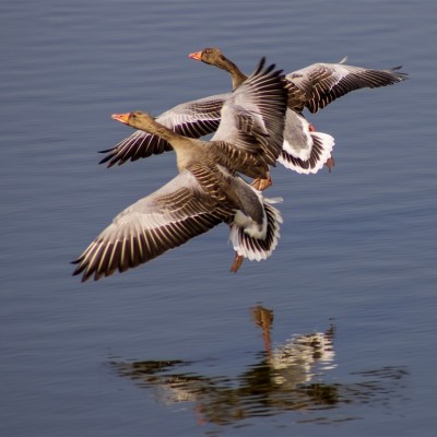 Környezetvédelem képekben