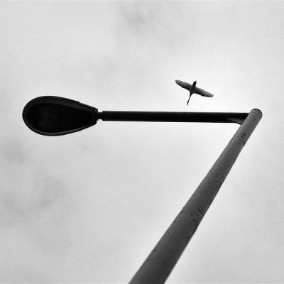 Környezetvédelem képekben