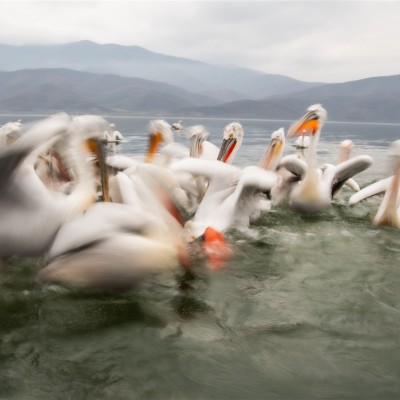 Környezetvédelem képekben